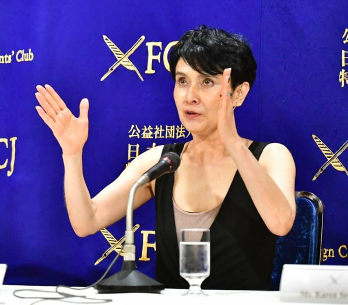 公の場での発言・インタビュー報道記録
