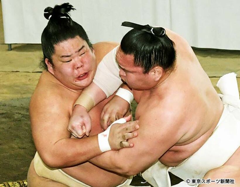  白鵬は横審の稽古総見で大栄翔（左）に堂々と“エルボー”をぶち込んだ