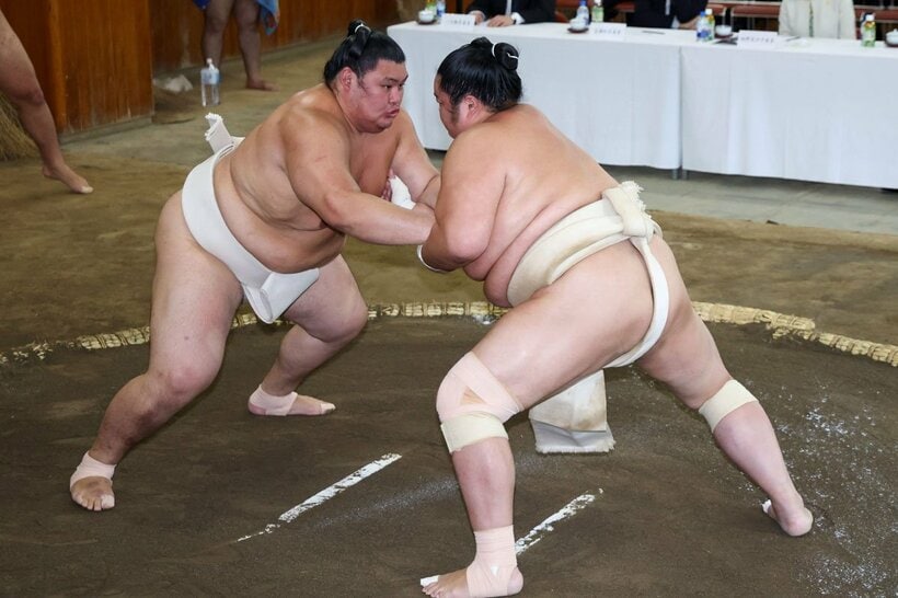 稽古総見で汗を流す大の里（左）