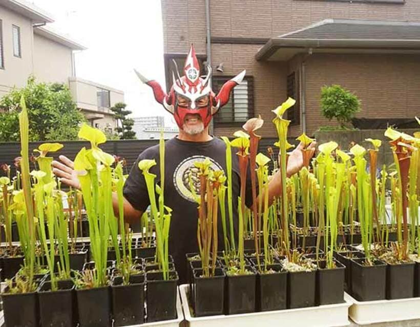  ライガーは自宅の庭で食虫植物の栽培に励む（本人提供）