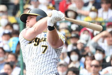 伊勢氏の期待値も高い阪神・ノイジー