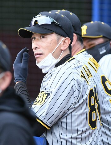  阪神・矢野監督（東スポWeb）