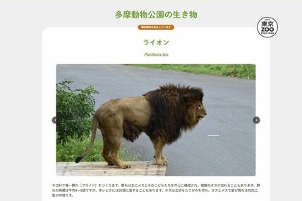 現在展示を休止しています（多摩動物公園のＨＰから）
