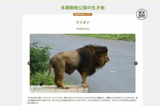 現在展示を休止しています(多摩動物公園のHPから)