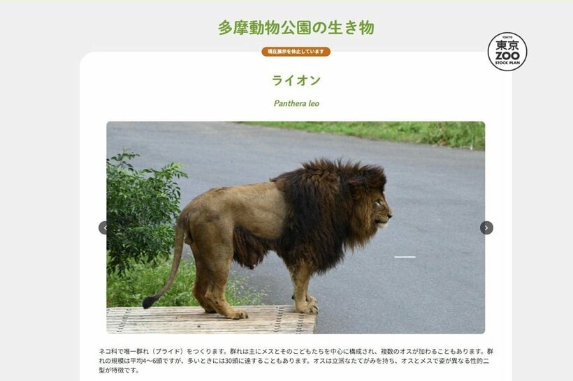 現在展示を休止しています（多摩動物公園のＨＰから）