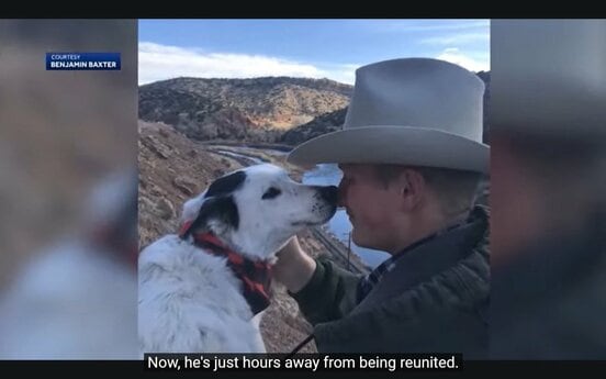 １０００キロ離れた場所で見つかったパッチス（ケンス５のユーチューブチャンネルから）