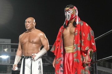 ハヤブサ㊨と新崎人生