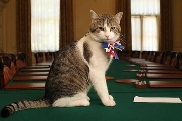 ラリー・ザ・キャット（英国政府の公式サイトから）