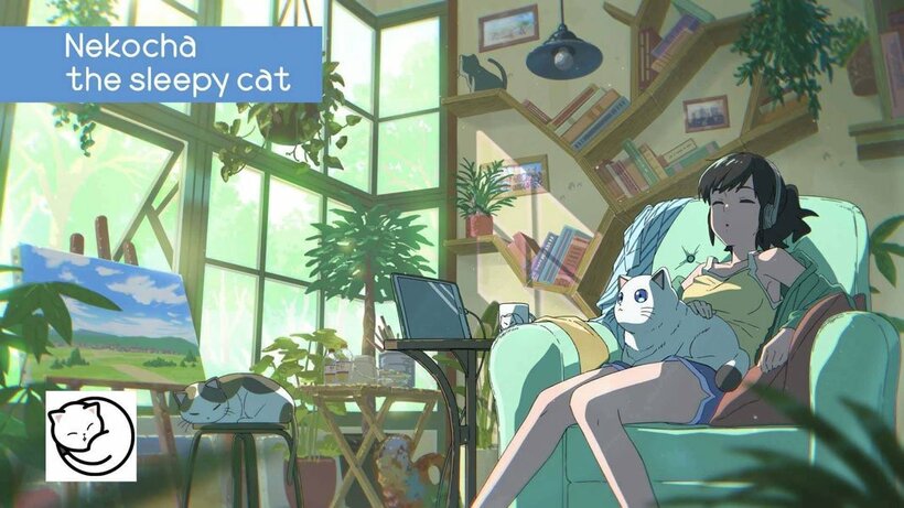  ユーチューブチャンネル「Nekocha　the　sleepy　cat」