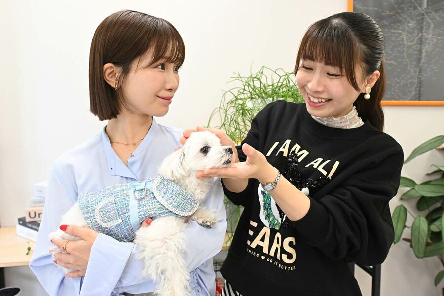 ペットの存在は暮らしを豊かにしてくれる
