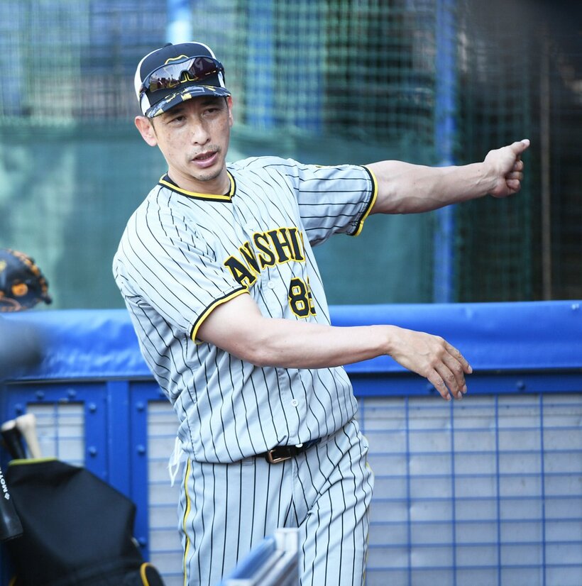  上位を猛チャージしている阪神・矢野監督だが…（東スポWeb）