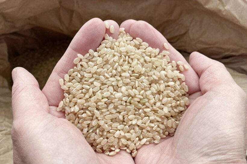 玄米は白米を精製する前の状態だ
