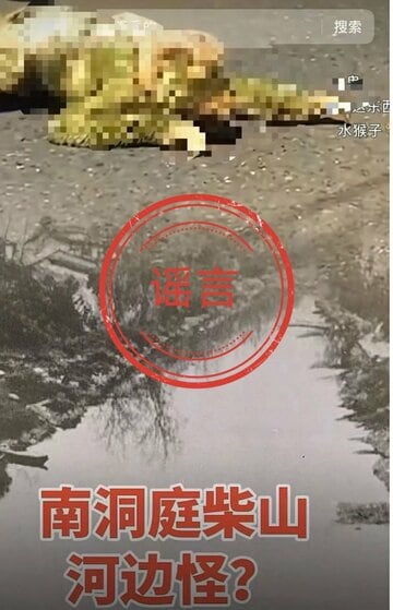 ネット警察がニセと断定した水猴子の動画（微博から）