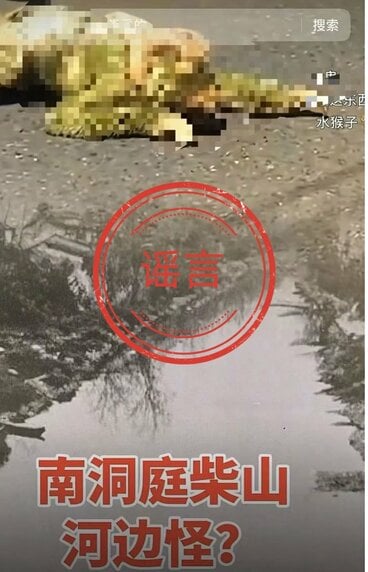 ネット警察がニセと断定した水猴子の動画(微博から)