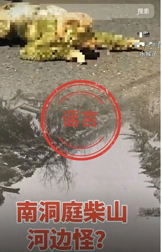 ネット警察がニセと断定した水猴子の動画(微博から)
