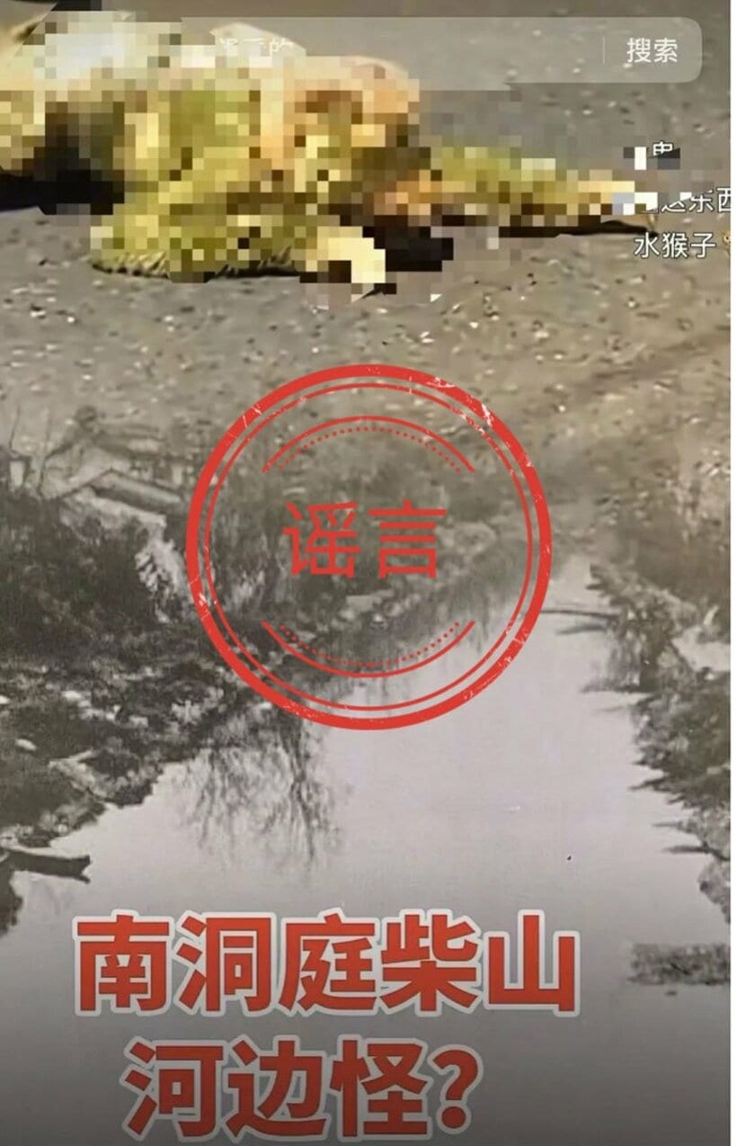 ネット警察がニセと断定した水猴子の動画（微博から）