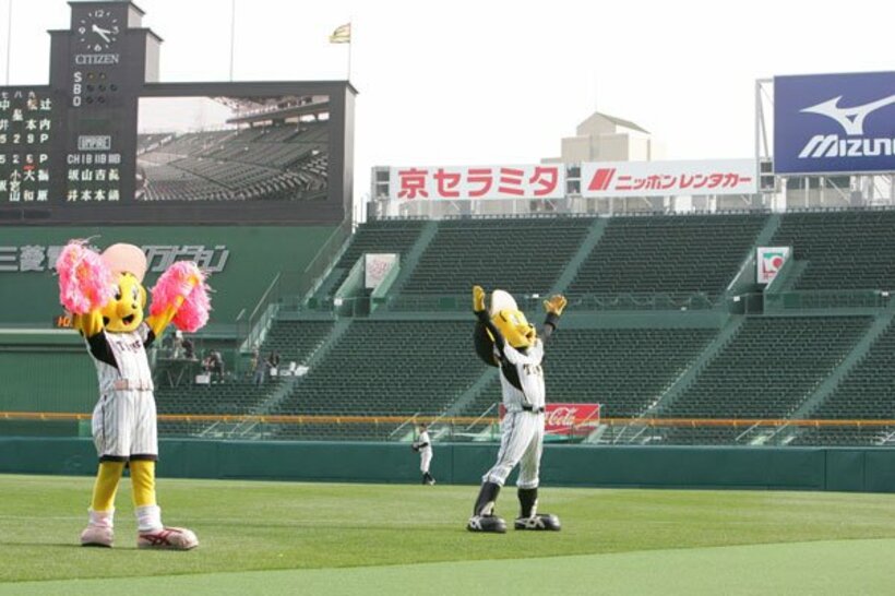  ７月１０日から有観客試合が解禁となるが…(写真は甲子園)