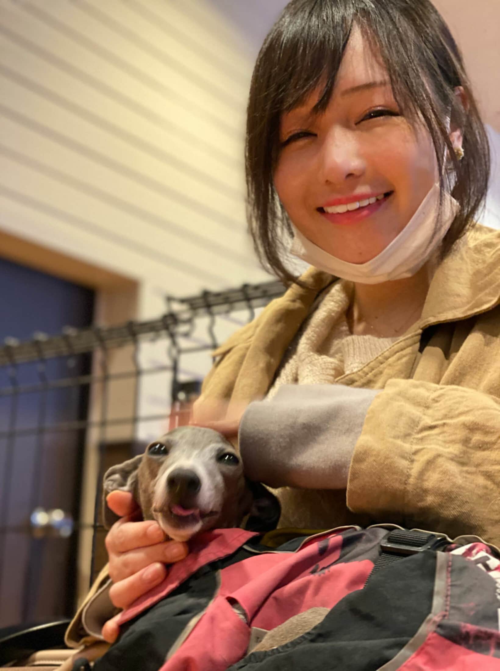 近くにある「世界の名犬牧場」にも立ち寄りました