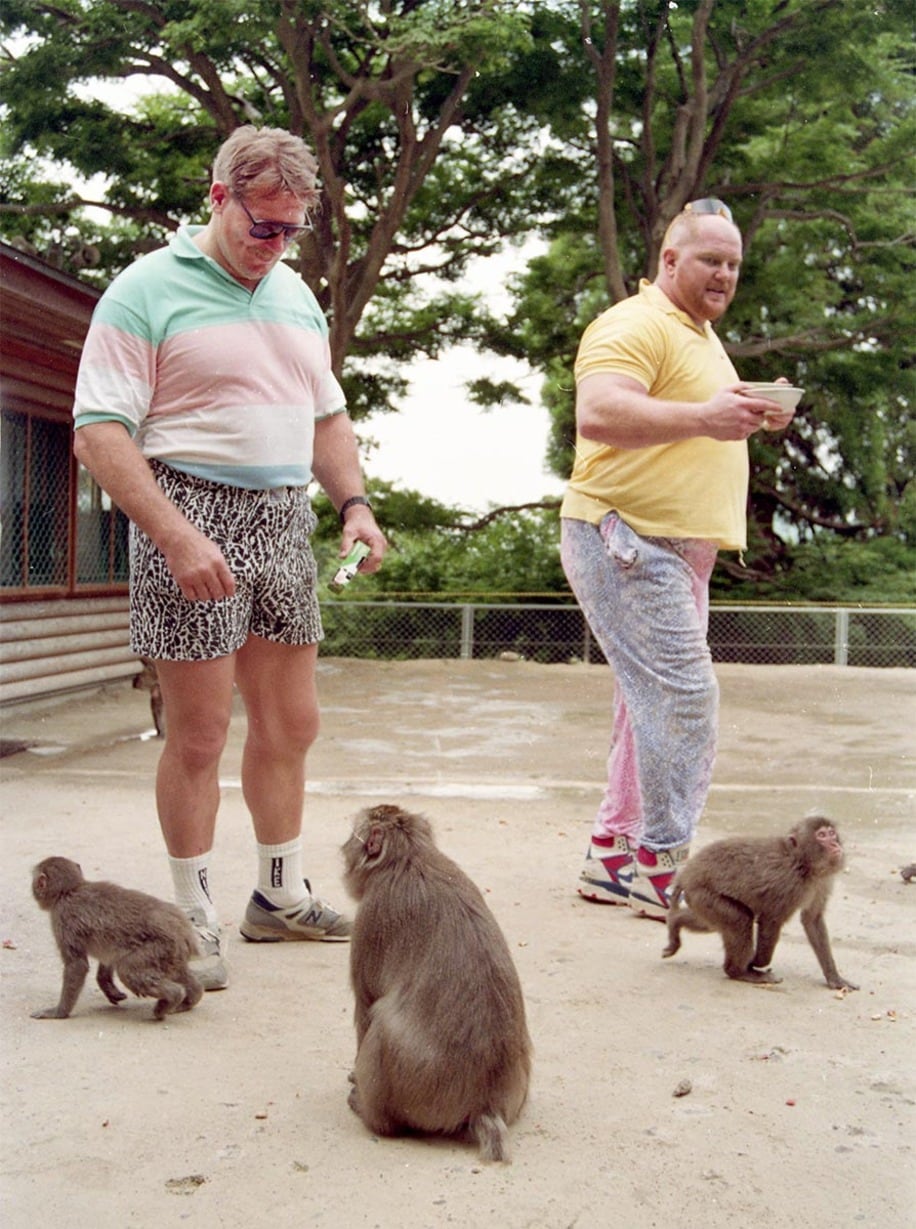 仲良く猿見物のハンセン（左）とベイダー（９０年６月、大分・高崎山自然動物園）