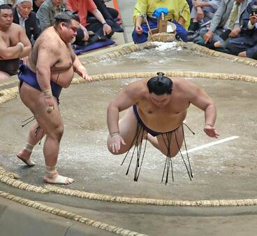 高安の突き倒しで大の里はジャンプしながら土俵下へ転落した