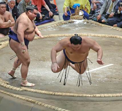 高安の突き倒しで大の里はジャンプしながら土俵下へ転落した