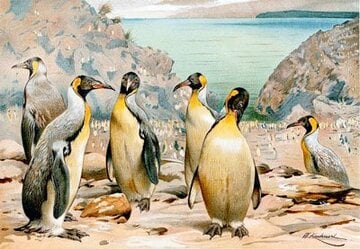 絶滅したジャイアントペンギンの姿