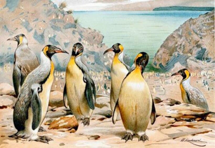絶滅したジャイアントペンギンの姿