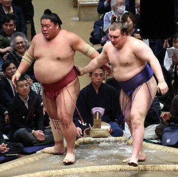 大栄翔（左）を寄り切った安青錦