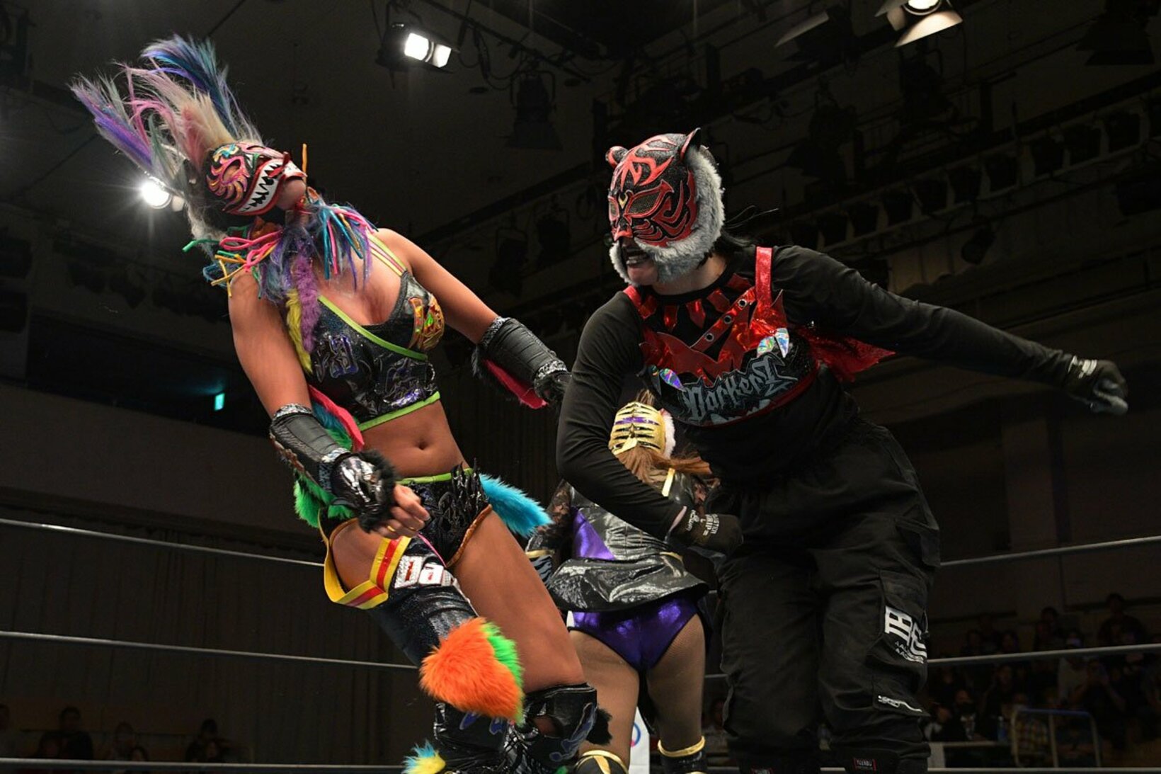 ダーク・タイガー（右）の誤爆をくらうダーク・ウナギ