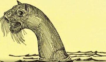  未確認生物「ステラーの海猿」（ユーチューブから）