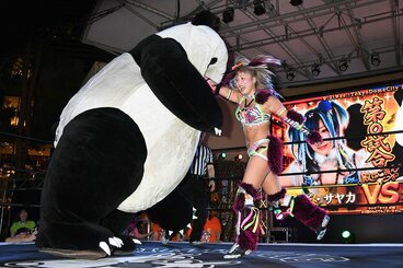 アンドレザ・ジャイアントパンダを殴るウナギ・サヤカ