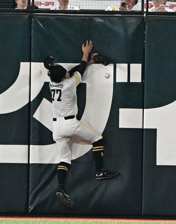 危ない！フェンスに激突するソフトバンク山本恵大
