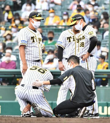  ７回に負傷した小林(左下)を心配そうに見つめる阪神・矢野監督(右)