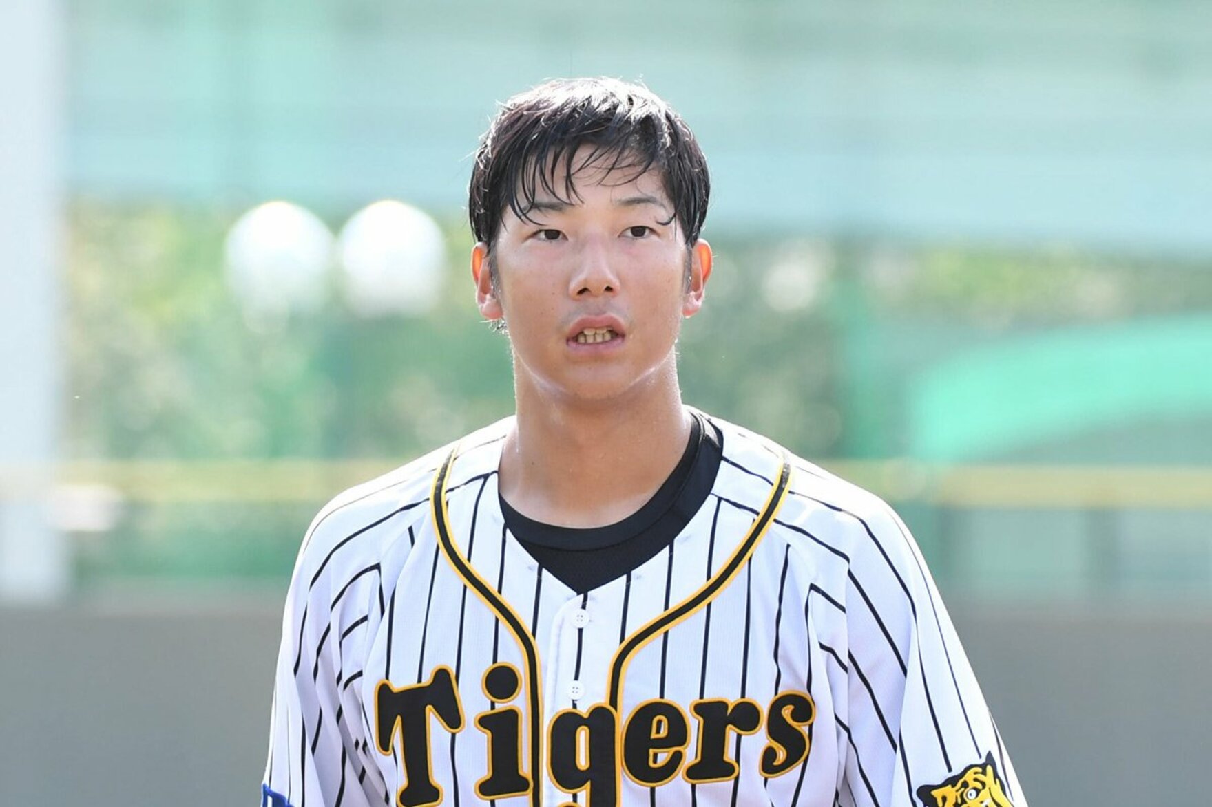 写真：【阪神】25日の巨人戦でOB・横田慎太郎さんの追悼セレモニー開催 | 東スポWEB