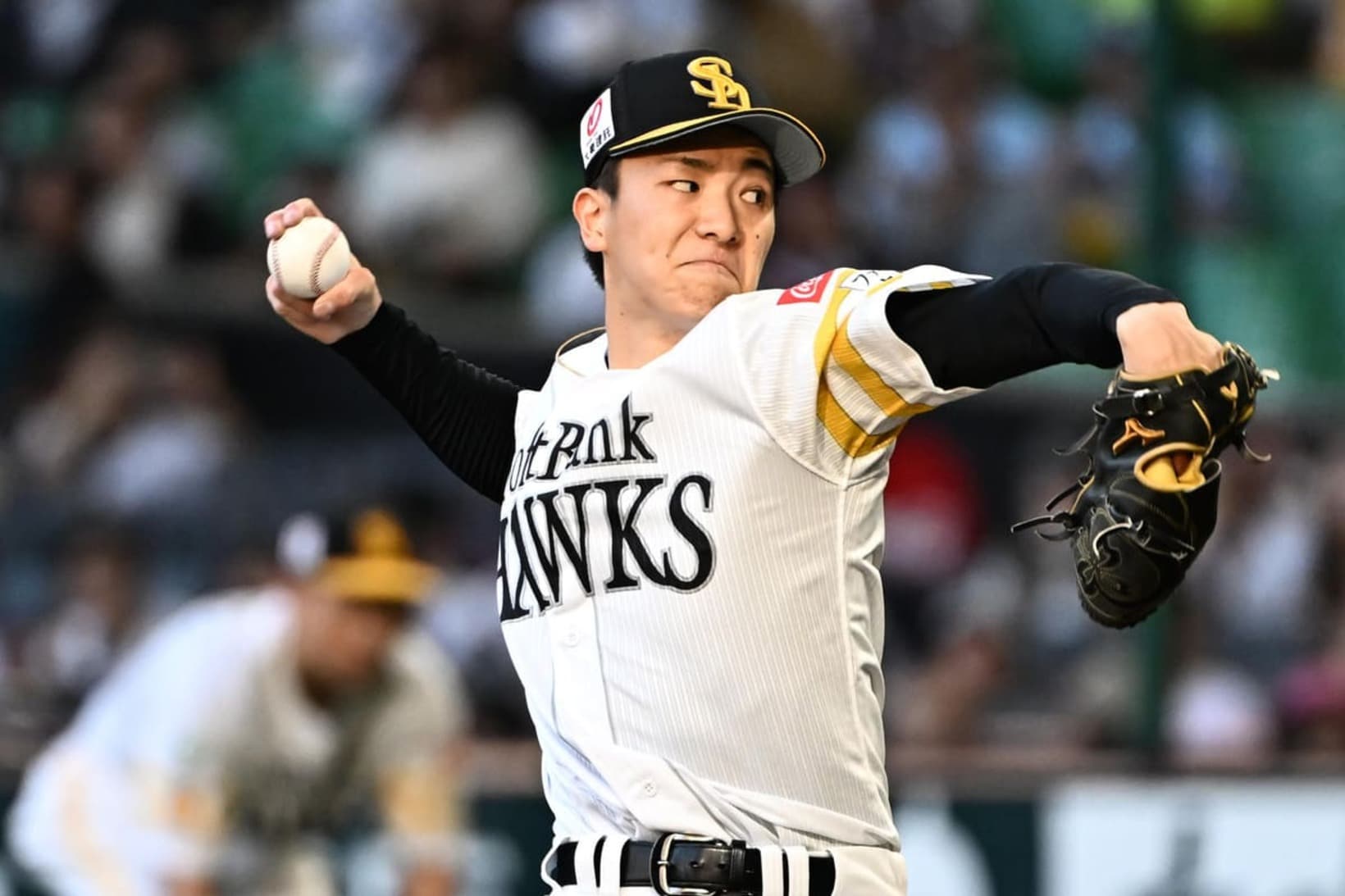 支配か登録された藤原大翔