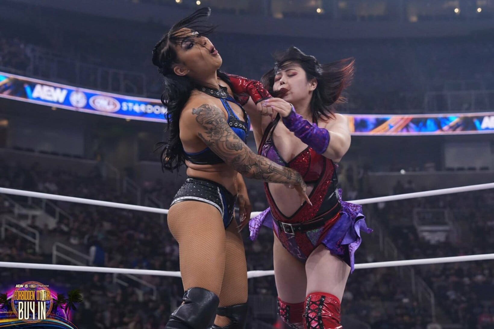 舞華（右）はスカイ・ブルーにエルボーを叩き込む（©All Elite Wrestling ）