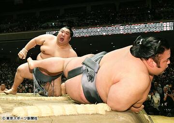  貴景勝（手前）を寄り切った徳勝龍