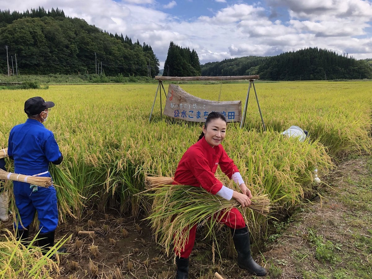岩本公水が地元・秋田で稲刈り「お米に負けないくらい私の歌も輝かせたい」 | 東スポWEB