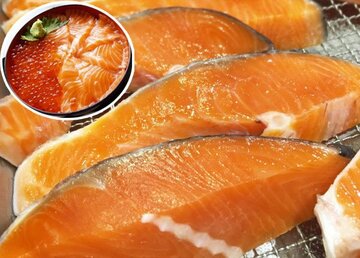  サケの肉には「アスタキサンチン」が含まれている。イクラには老化防止などに奏功（切り込み写真）