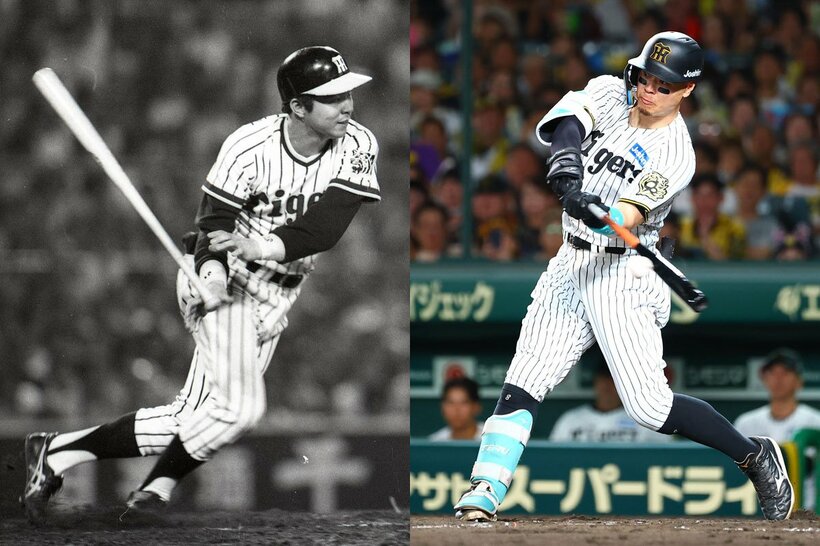 現役時代の掛布雅之氏(1981年)と、阪神・佐藤輝明