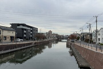 １１月６日朝にイノシシの目撃情報があった千葉・浦安市の堀江地区