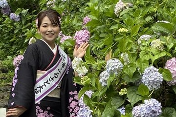 平山花羽