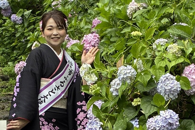 平山花羽