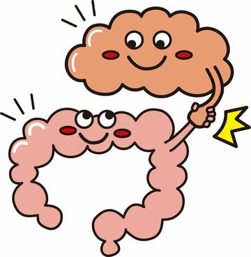 腸と脳は深く関係している