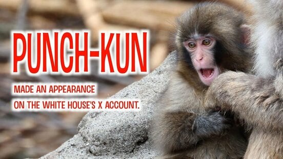 世界で大人気となっているパンチくん