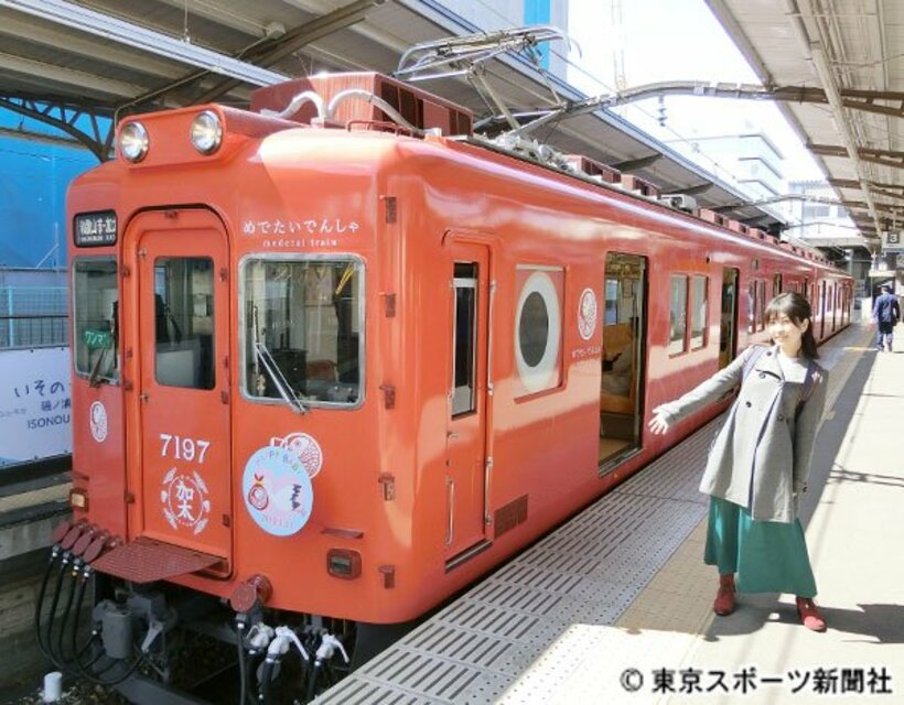  ひな祭りに乗るなら「めでたいでんしゃ」