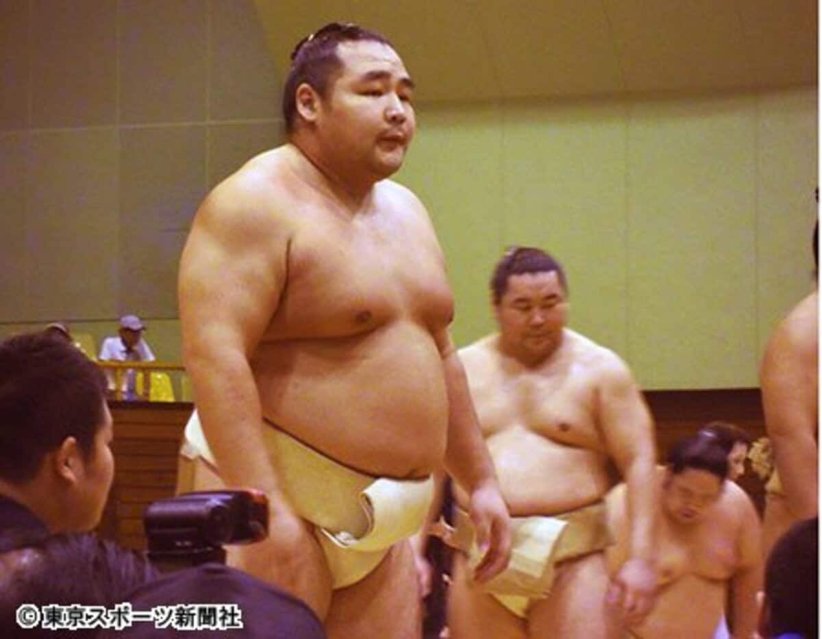 横綱で初優勝したのに…人気の出ない鶴竜 | 東スポWEB
