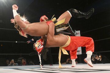 ジャーマンスープレックスも披露したハヤブサ