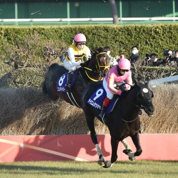 竹柵を飛越するニシノデイジー（左＝２０２４年、中山大障害）