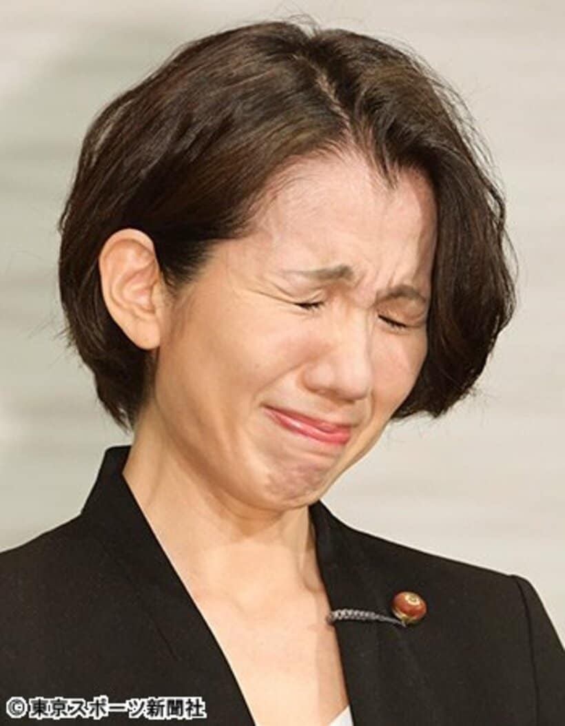  豊田真由子氏